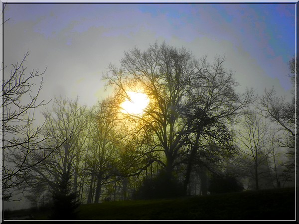 Entre soleil et brouillard